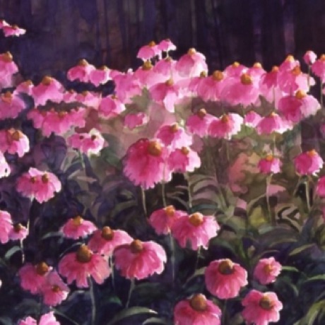 Cone Flowers
22x30
FRAMED Cone Flowers
22x30
FRAMED